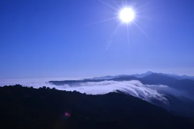 DSC_6161 (Large).JPG